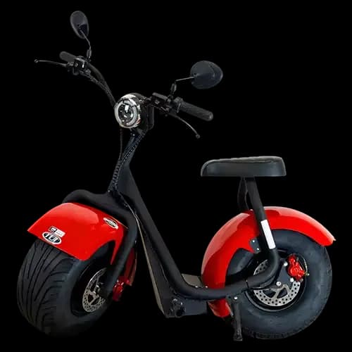 Compacta 1000