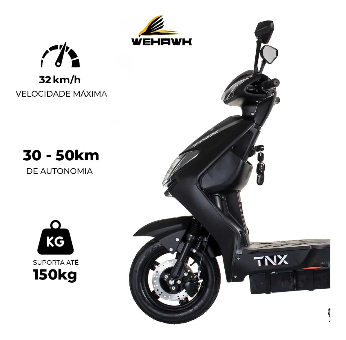 TNX WX-02 - principal